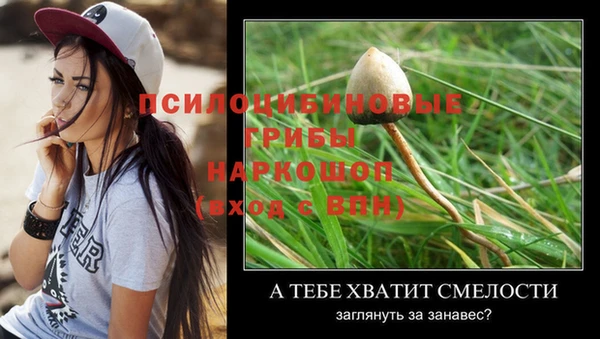 мескалин Нефтегорск