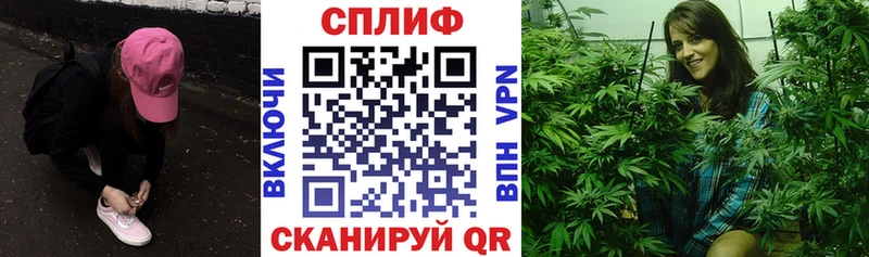 Бошки марихуана VHQ Новоузенск